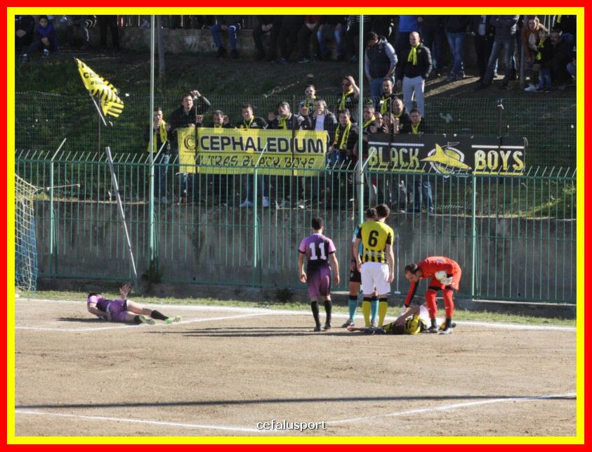 190310 Cephal_Torrenov 049_tn.jpg